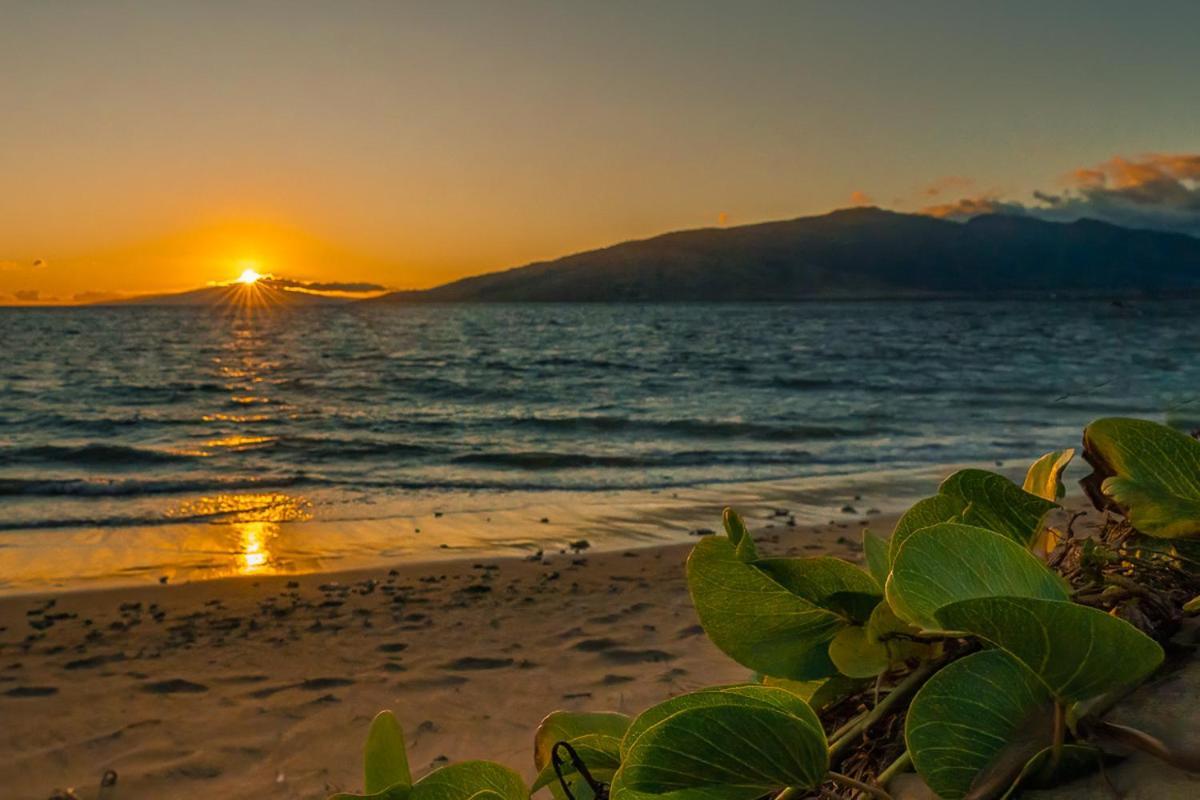 Maui Sunset B-115 Apartment คิเฮอิ ภายนอก รูปภาพ